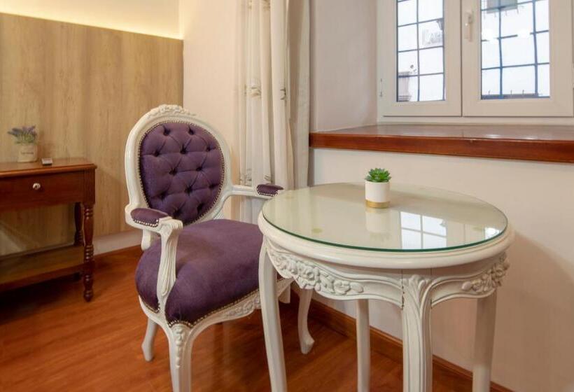 בית מלון כפרי Rojas Inn