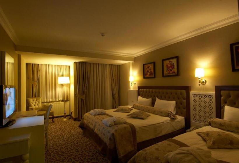 호텔 Safran Thermal Resort