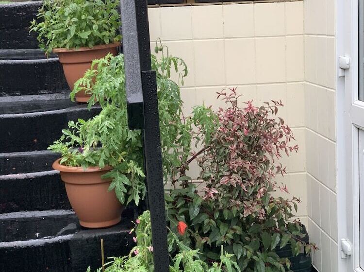 Fotos del hotel Alondra:  22