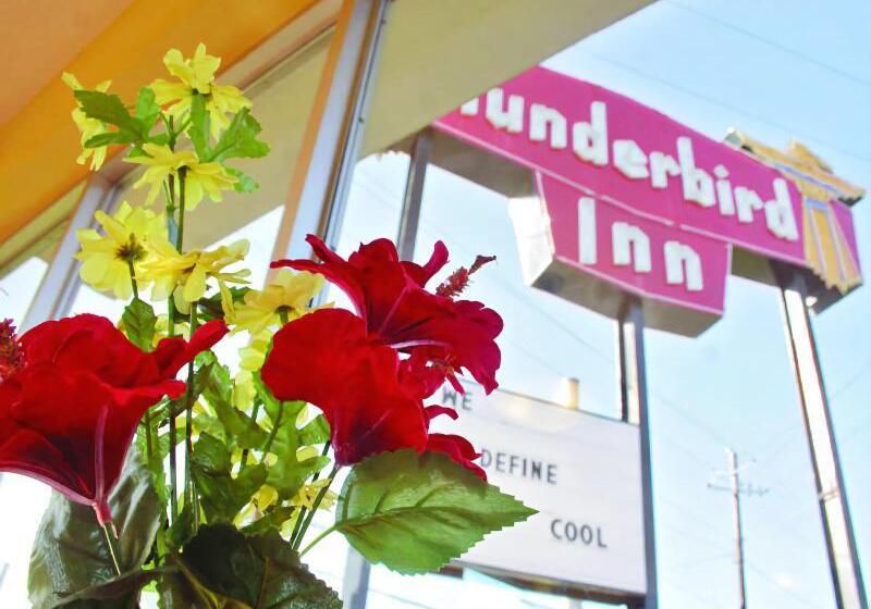 هتل The Thunderbird Inn