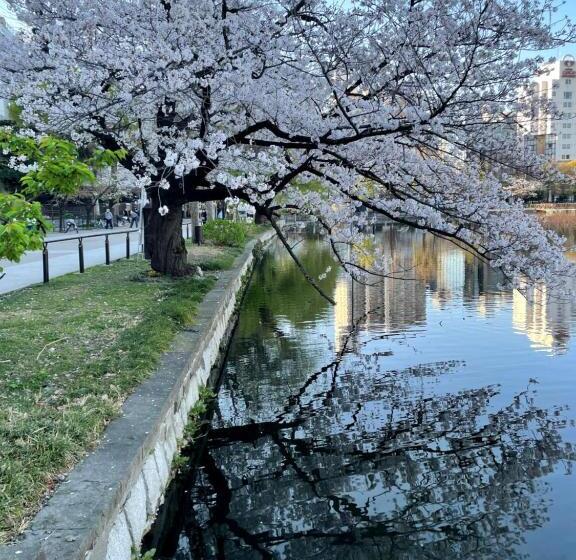 Fotos del hotel Ueno:  20