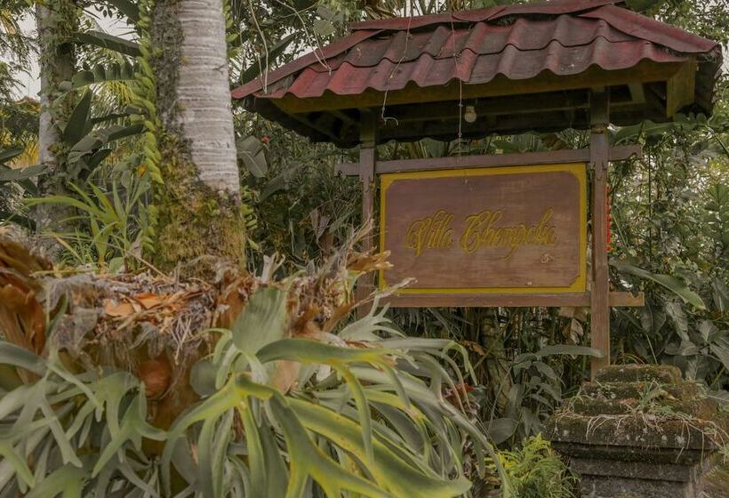 Fotos del hotel Villa Chempaka:  20
