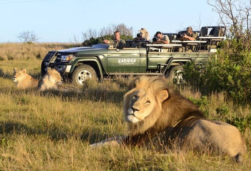 リゾートホテル Kariega Game Reserve   Ukhozi Lodge All Inclusive