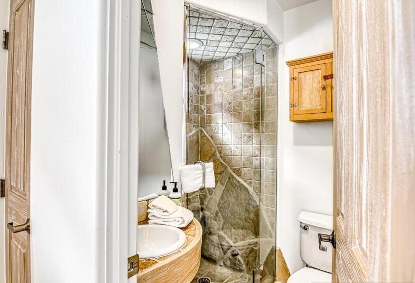 هتل Double Diamond Ski In/ski Out Chalet
