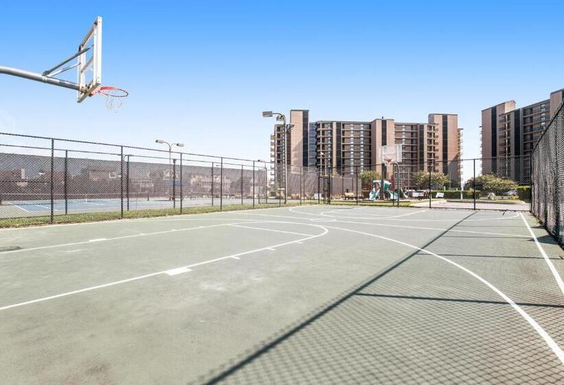 فندق Sea Colony  208 Brandywine House