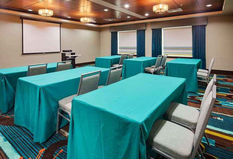 Fotos del hotel Best Western Premier Ashton Suites  Willowbrook:  88