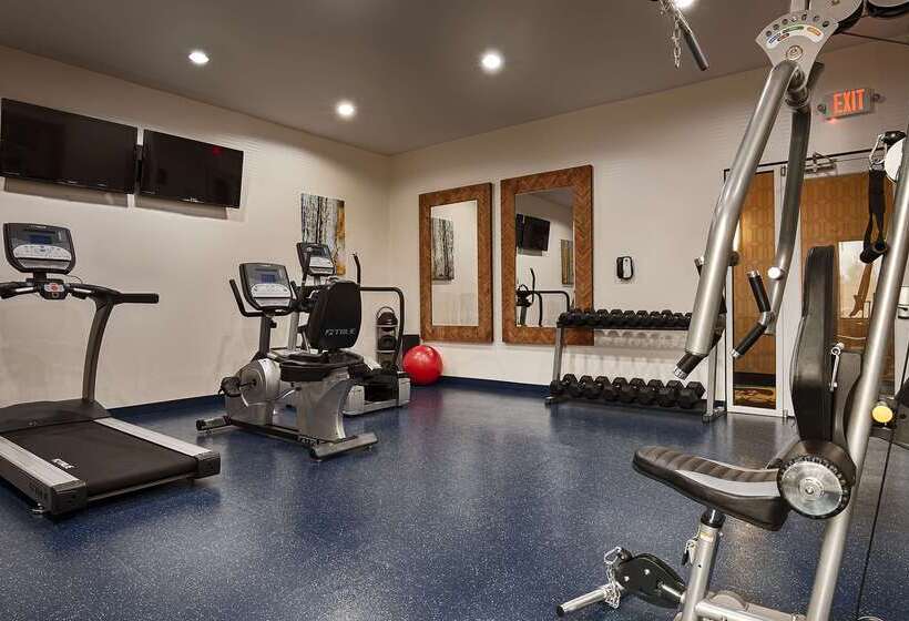 Fotos del hotel Best Western Premier Ashton Suites  Willowbrook:  50