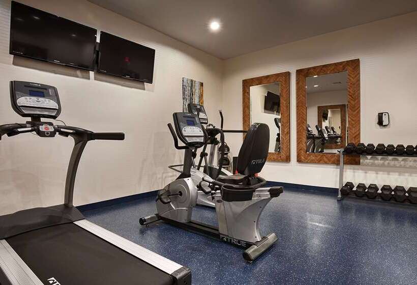 Fotos del hotel Best Western Premier Ashton Suites  Willowbrook:  30