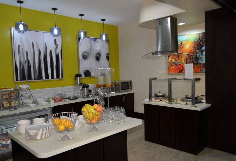 Fotos del hotel Best Western Premier Ashton Suites  Willowbrook:  41