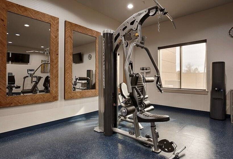 Fotos del hotel Best Western Premier Ashton Suites  Willowbrook:  29