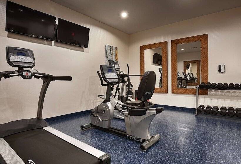 Fotos del hotel Best Western Premier Ashton Suites  Willowbrook:  28