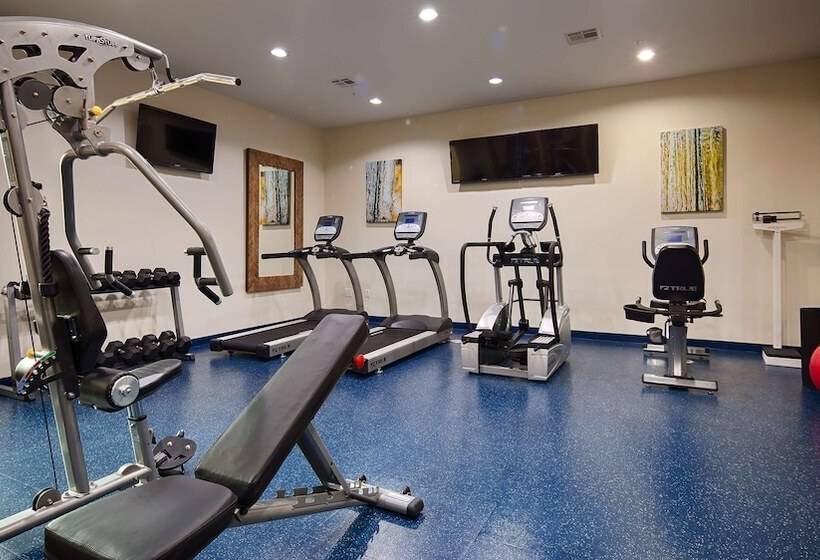 Fotos del hotel Best Western Premier Ashton Suites  Willowbrook:  17