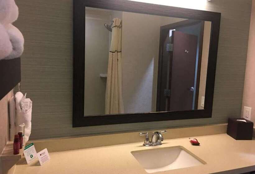 Fotos del hotel Best Western Premier Ashton Suites  Willowbrook:  25