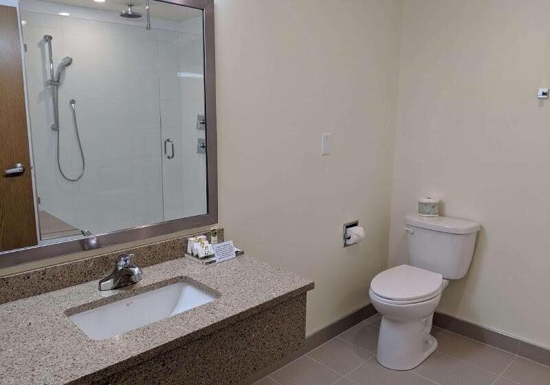 Fotos del hotel Best Western Premier Ashton Suites  Willowbrook:  8