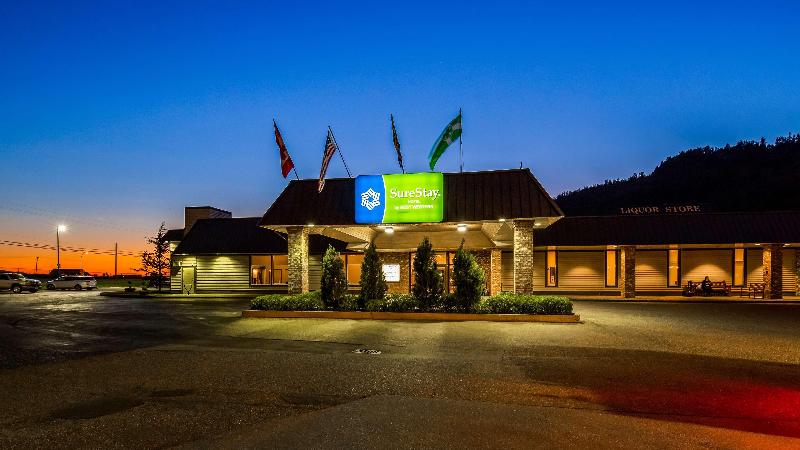 Fotos del hotel Best Western Premier Ashton Suites  Willowbrook:  40