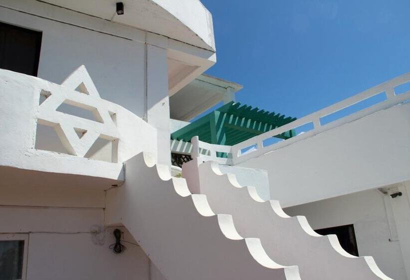 Fotos del hotel Gmg:  6