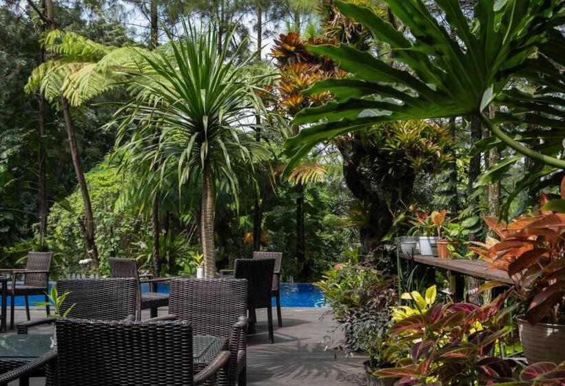 Fotos del hotel House Sangkuriang:  8