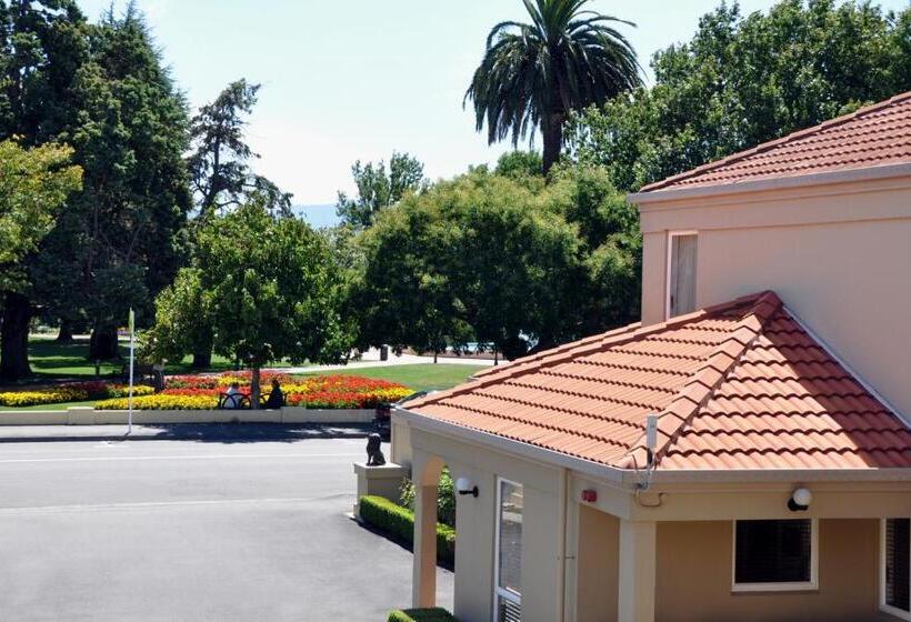 Fotos del hotel Lugano Motor Lodge:  27