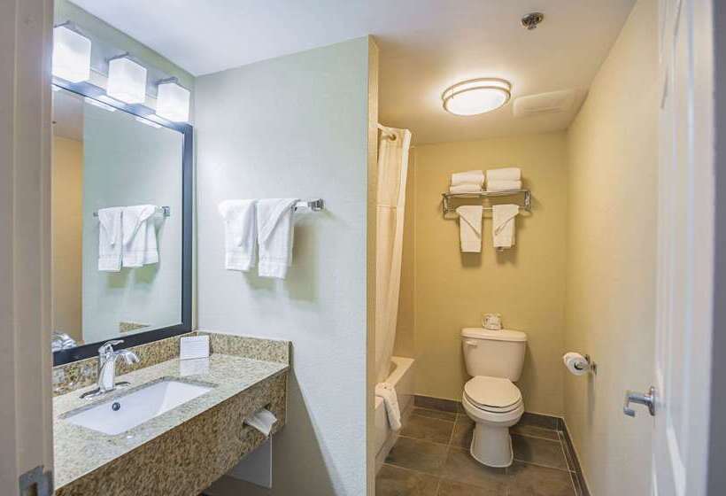 فندق Quality Inn & Suites