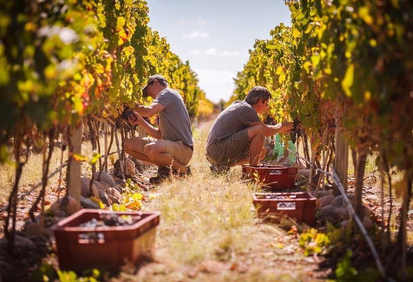 Hotel The Vines Resort & Spa