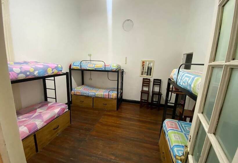 Ideal Social Hostel
