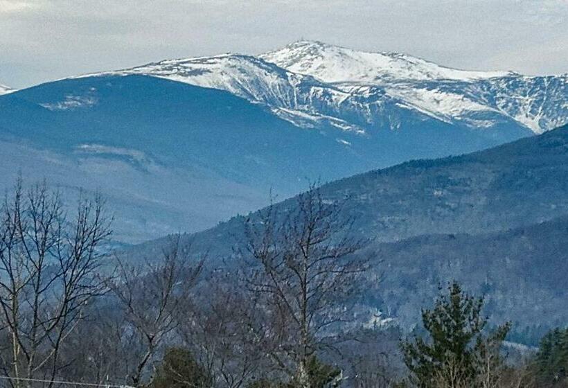 هتل Mount Washington Views