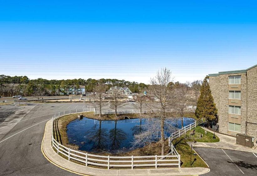 בית מלון כפרי Bethany Beach Inn   202 Bethany Beach Inn