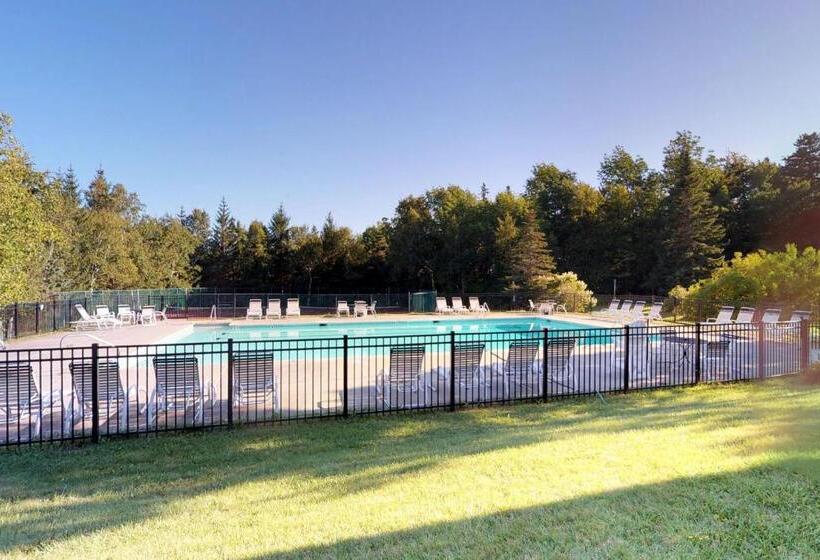 فندق Bromley Village   Clovers 767a