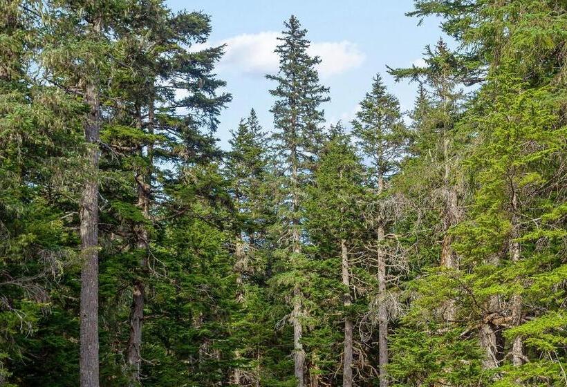 فندق Cozy Crystal Mountain Condo