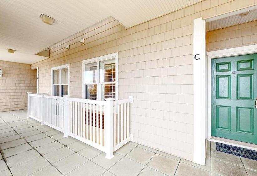 ホテル Pelican S Watch