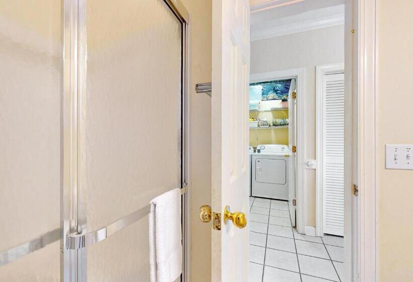 ホテル Pelican S Watch