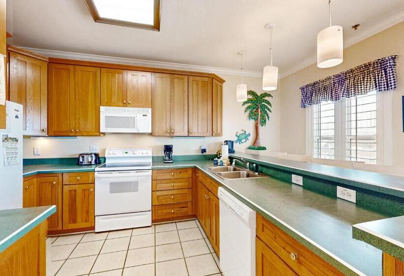 ホテル Pelican S Watch