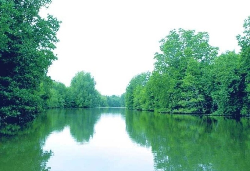 Fotos del hotel Can Gio Resort:  29