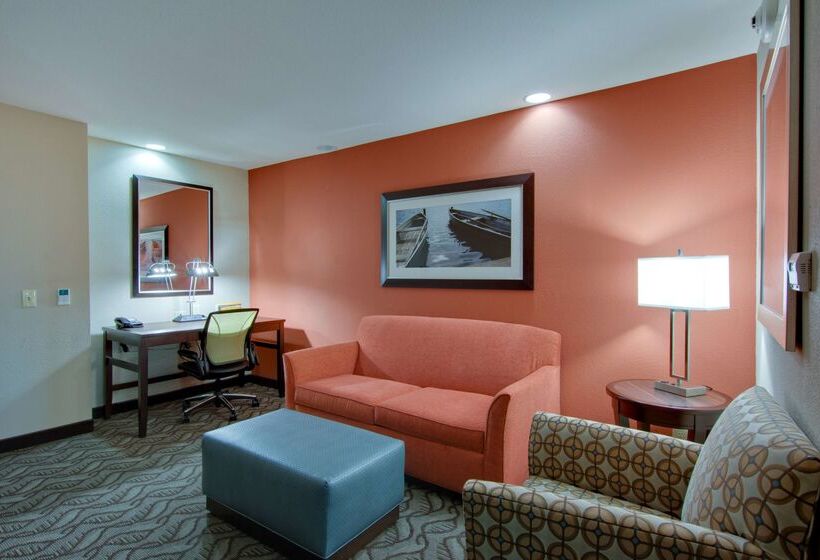 ホテル Hilton Garden Inn Benton Harbor St. Joseph