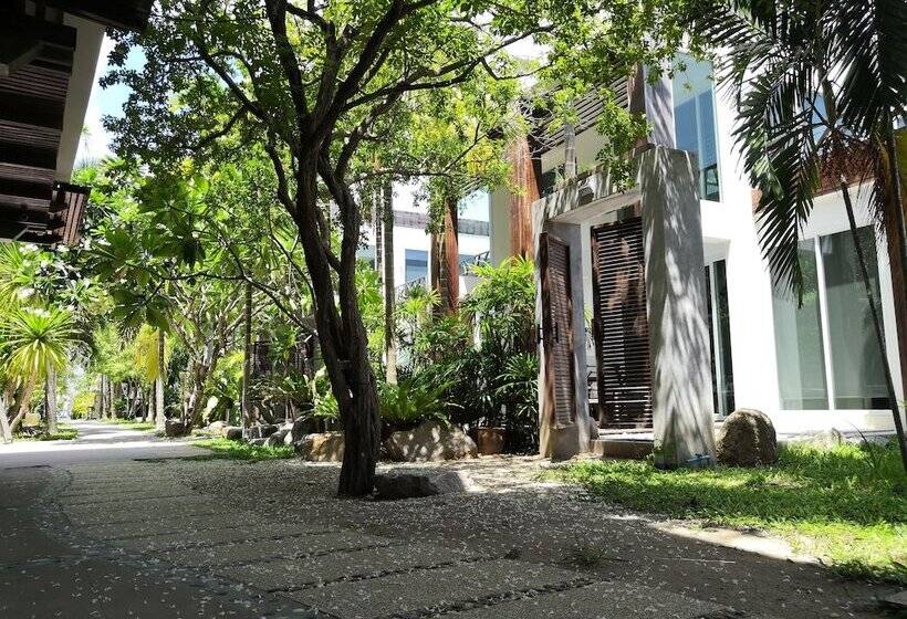 Fotos del hotel Sairee Hut Resort Koh Tao:  18
