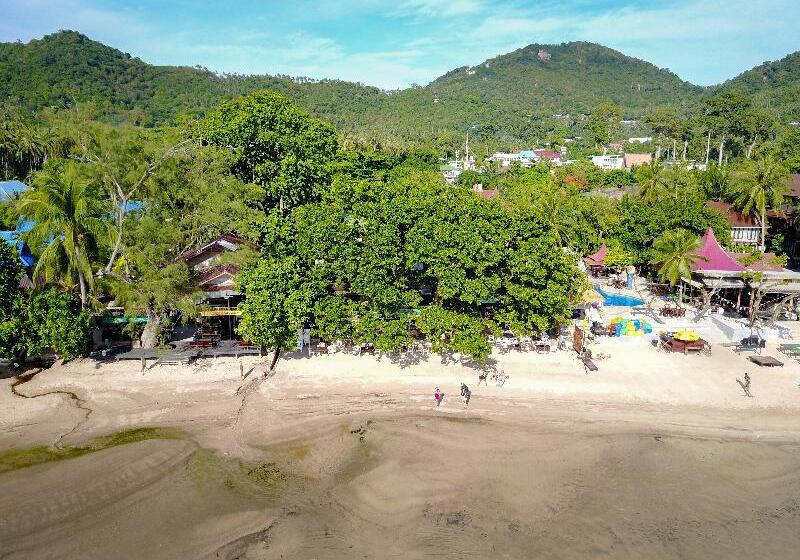Fotos del hotel Sairee Hut Resort Koh Tao:  43