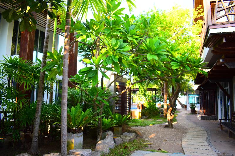 Fotos del hotel Sairee Hut Resort Koh Tao:  59