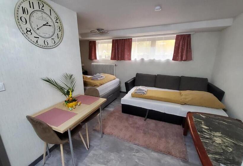 پانسیون Brodovskiy Apartment