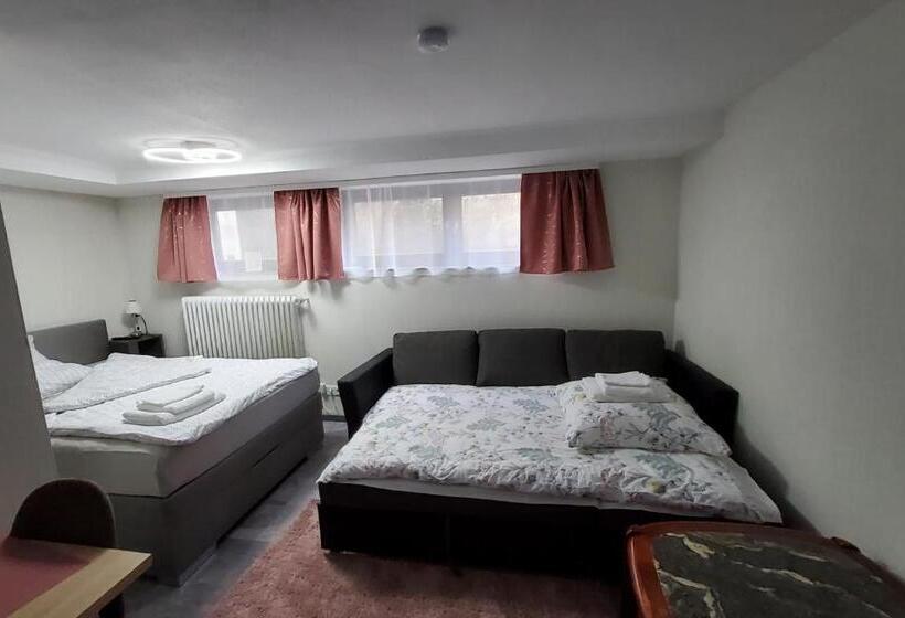پانسیون Brodovskiy  Apartment