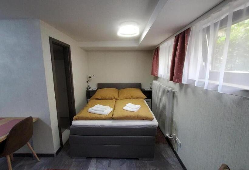 پانسیون Brodovskiy  Apartment