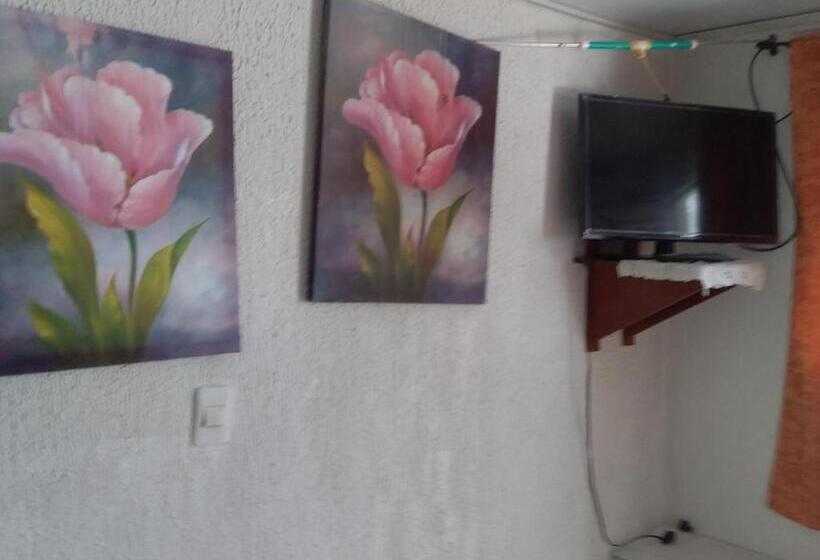 بنسيون Green Sea Inn San Luis