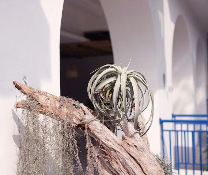 پانسیون Little Mykonos