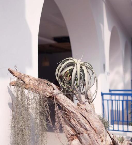 پانسیون Little Mykonos