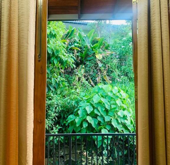 Jungle City Hostel