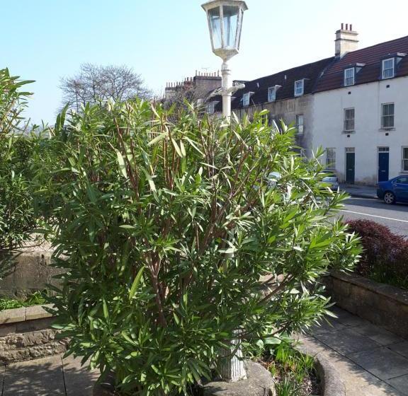 민박 Lamp Post Villa Guest House