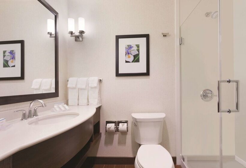 هتل Hilton Garden Inn Rochester Downtown, Ny