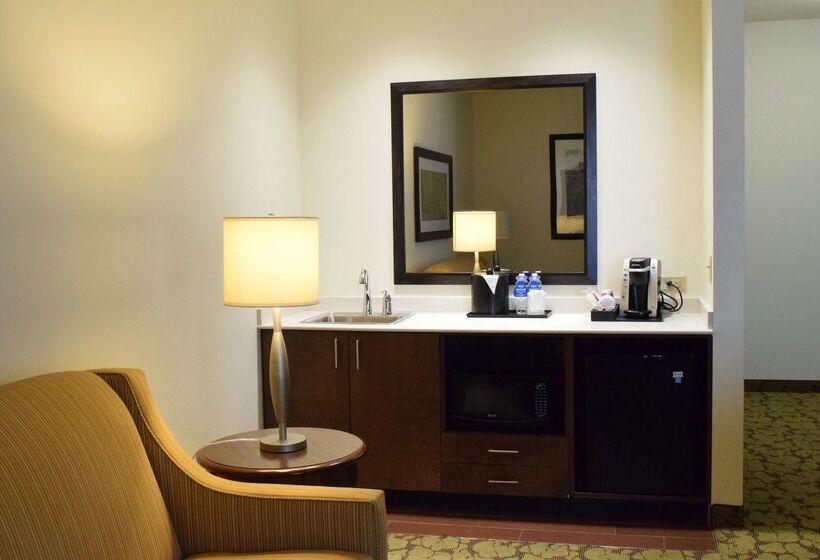 هتل Hilton Garden Inn Rochester Downtown, Ny