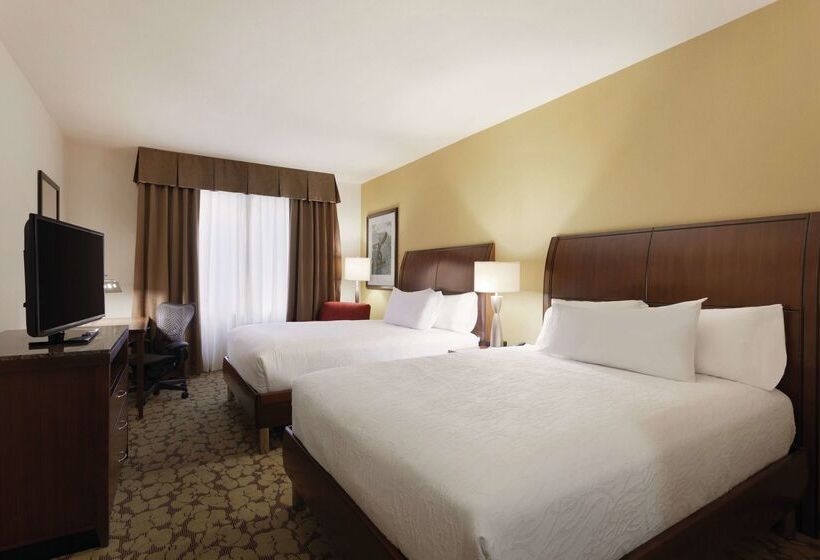 هتل Hilton Garden Inn Rochester Downtown, Ny