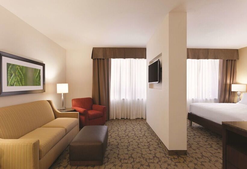 هتل Hilton Garden Inn Rochester Downtown, Ny