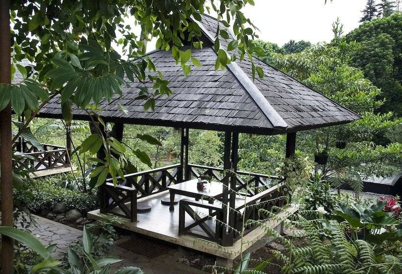 Fotos del hotel The Cipaku Garden:  12
